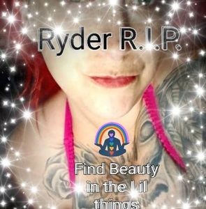 Meet your Posher, Mel